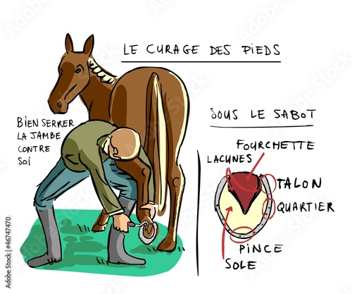 Equitation