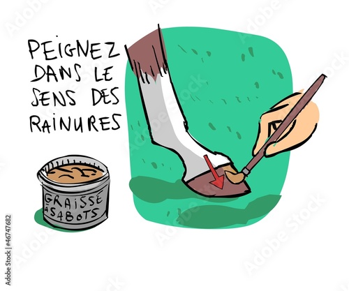 Equitation