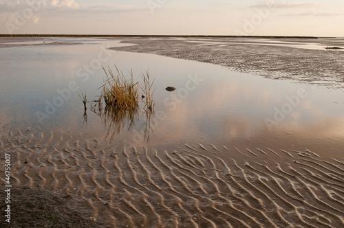 Bild auf Leinwand Wattenmeer 16 - Wadden Sea