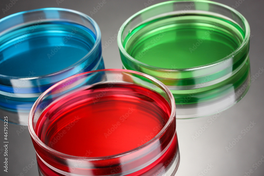 color liquid in petri dishes on grey background color liquid in petri dishes on grey background