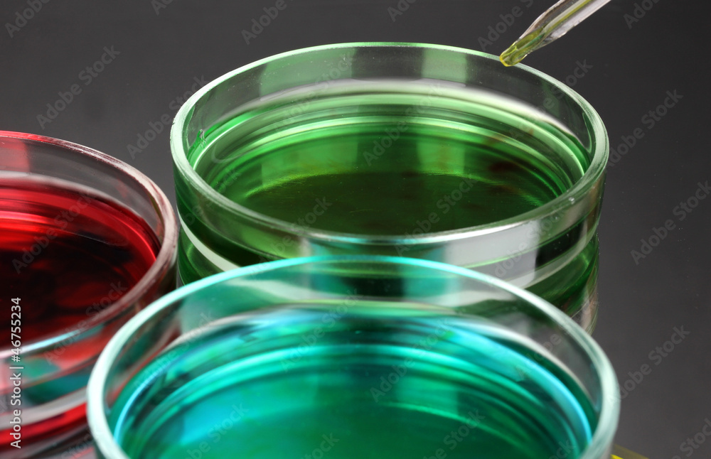 color liquid in petri dishes on grey background color liquid in petri dishes on grey background