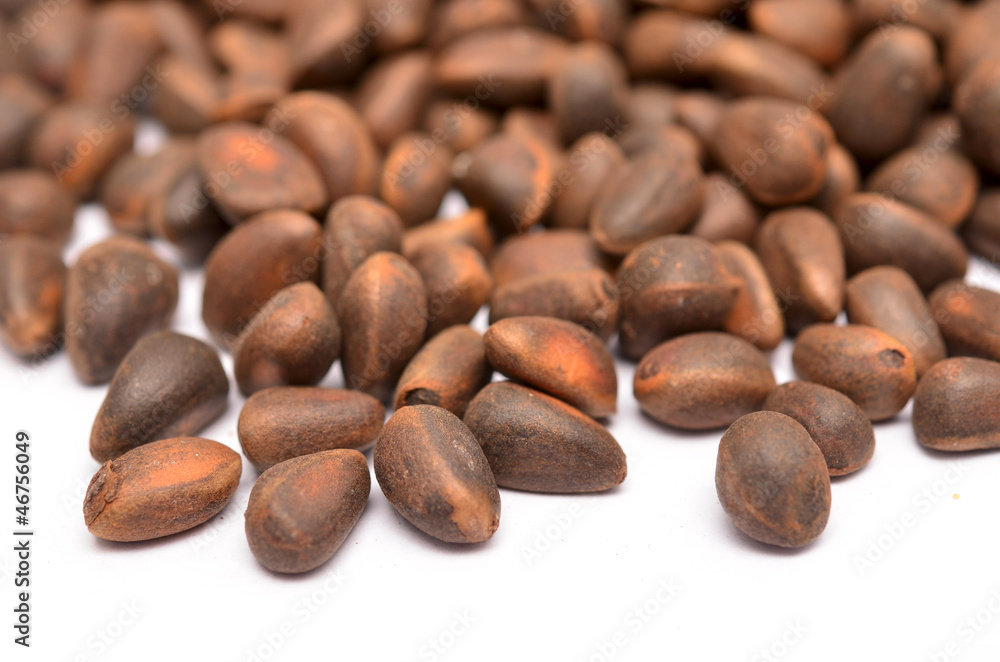 cedar nuts cedar nuts