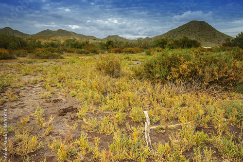 Tipical spanish landscape, Spain, Andalusia, Almeria