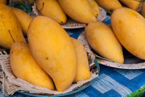Yellow ripe mango