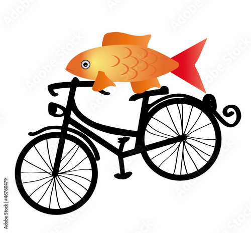 Fisch und Fahrrad