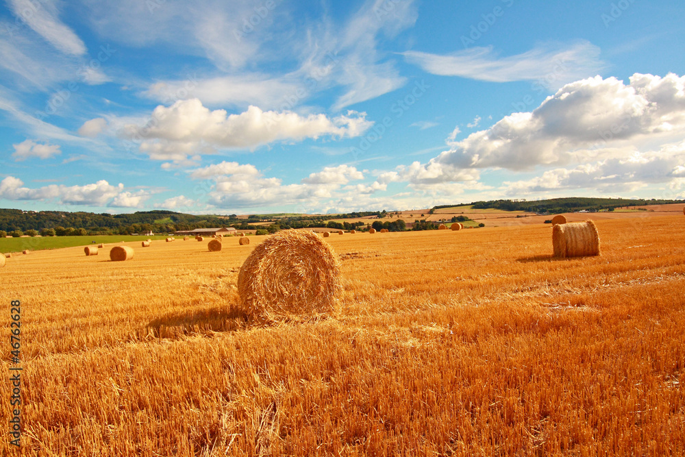 Scenic landscape with haybales