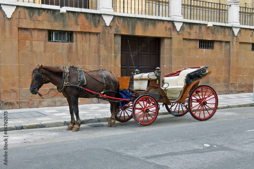 Carriage with horse
