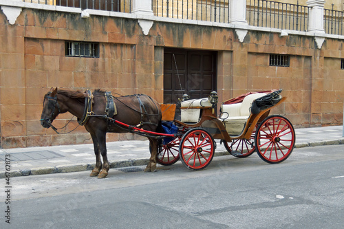 Carriage with horse © Robbic