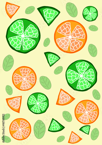 orange and lemon slices vector