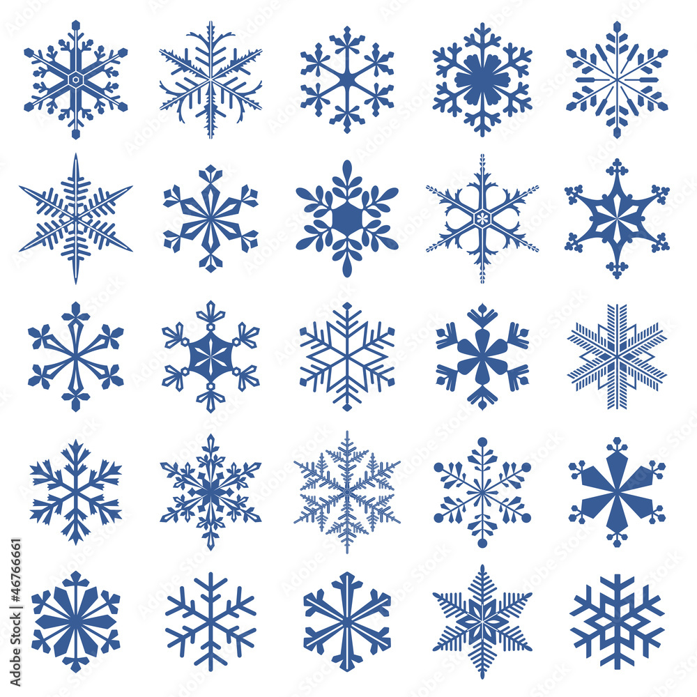 Fototapeta premium collection of 25 snowflakes