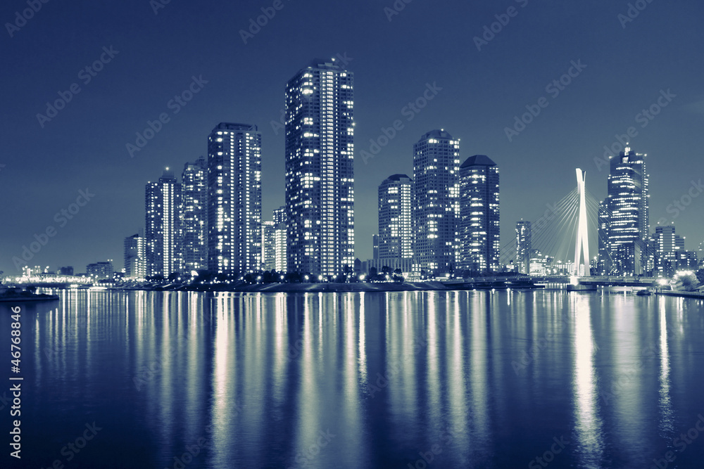 Obraz premium night city