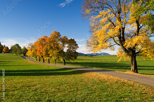 Indian Summer, Warngau, Straße, Weg, Kurve,