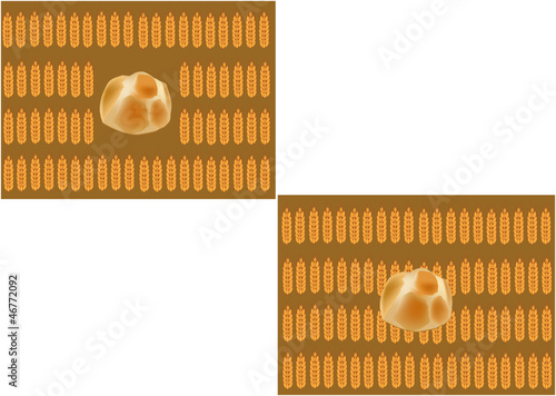 spiga grano