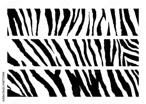 set of Zebra pattern vector