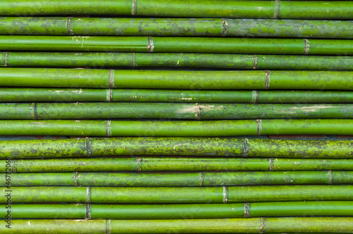 bamboo wall