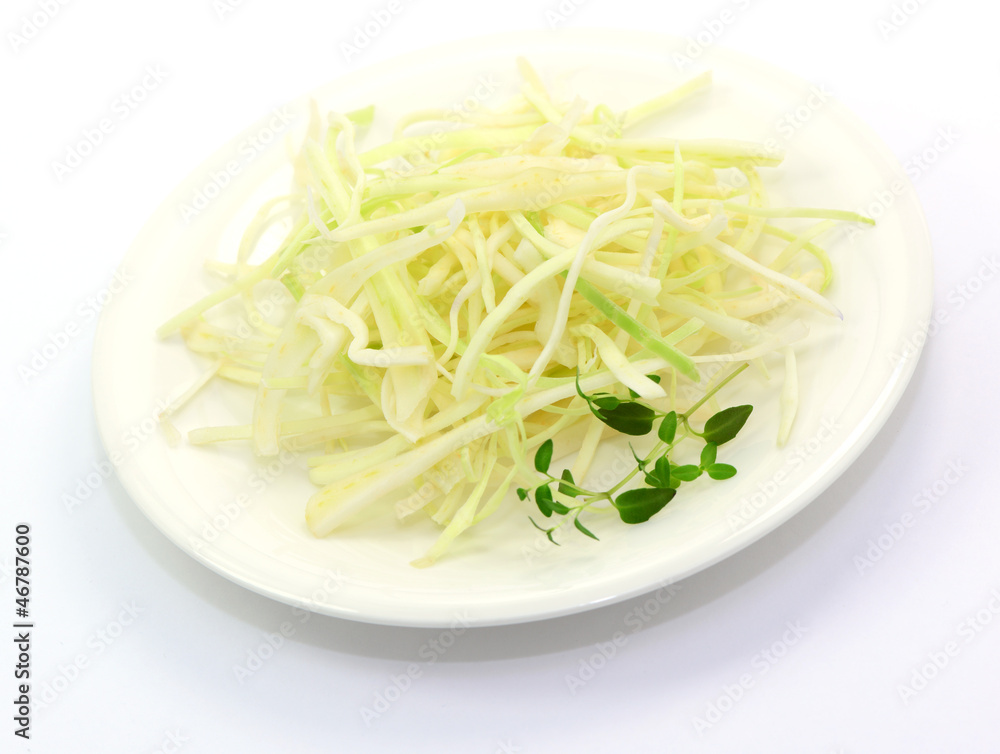 Weißkohl Weißkohl