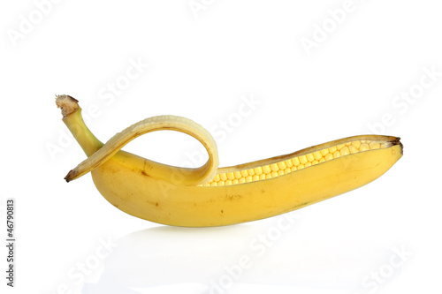 GMO corn - genetically modified banana and maize photo