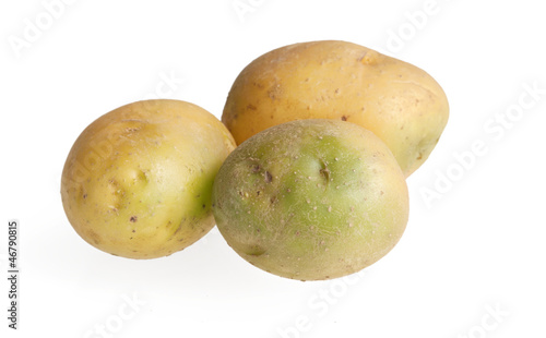 Green potatoes containing solanine are poisonous photo