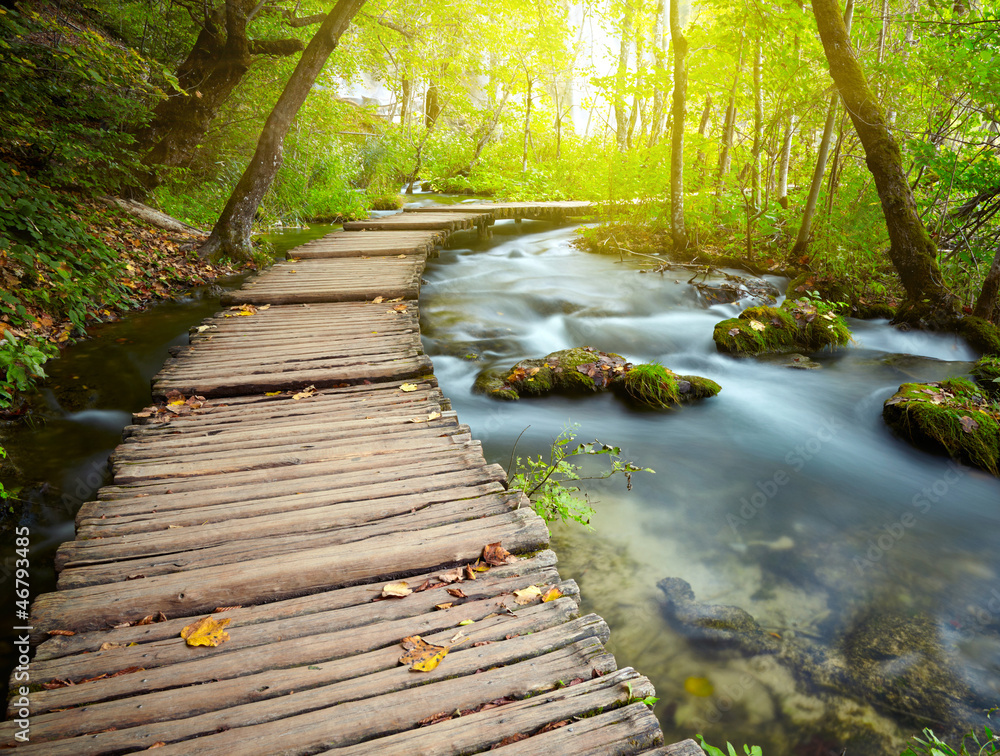 Fototapeta premium Boardwalk in the park