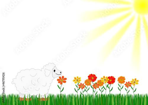 Schaf auf Blumenwiese