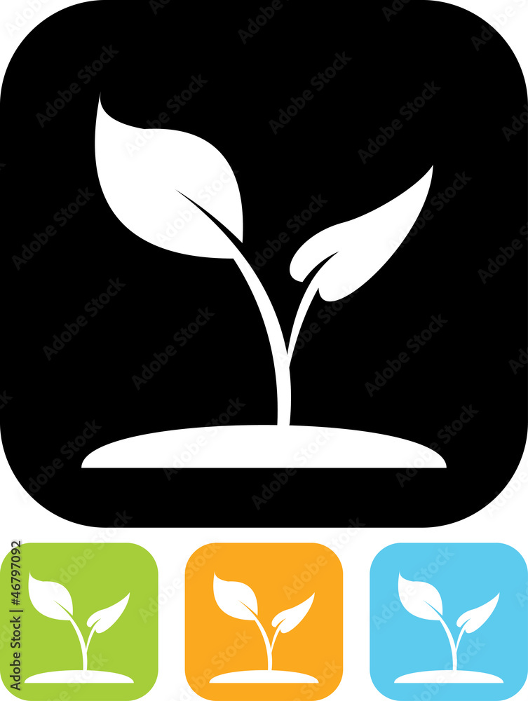 Vector icon isolated on white - Plant Vector icon isolated on white - Plant