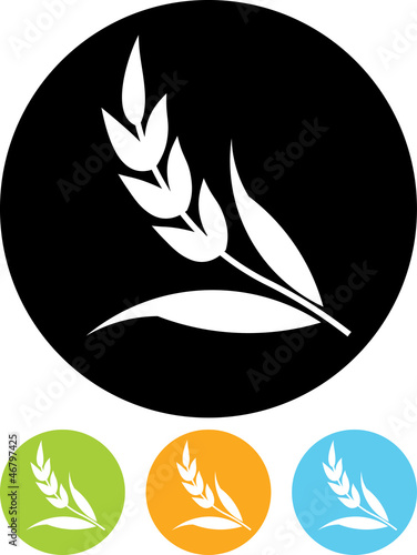 Ear of wheat - Vector icon isolated