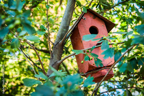 Birdhouse in the tree