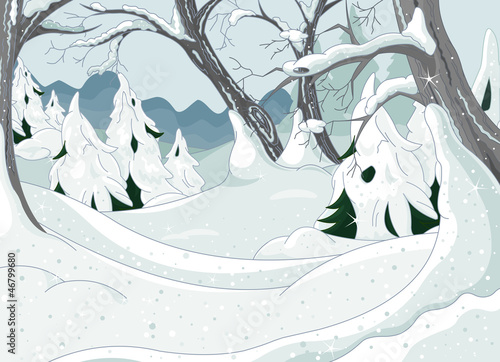 Winter Forest