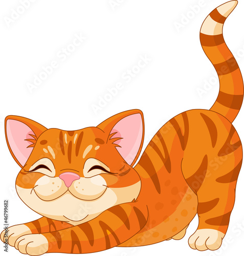 Cute kitten stretching
