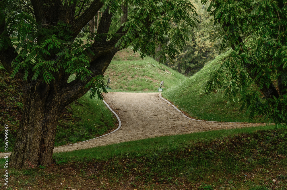 Fototapeta premium Park