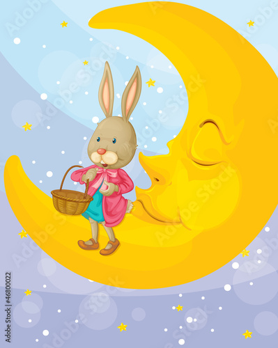 a rabbit and a moon