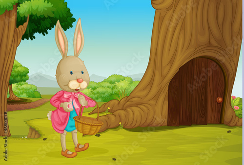 rabbit and tree