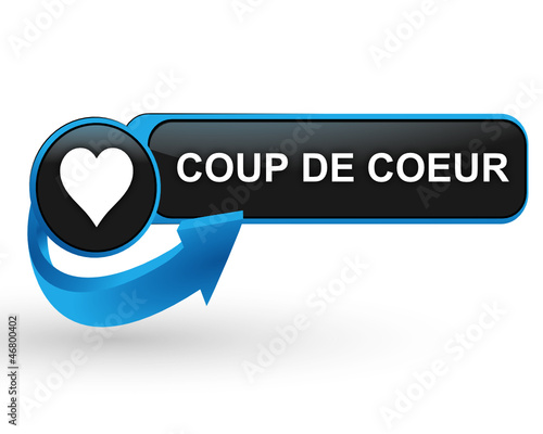 coup de coeur sur bouton web design bleu