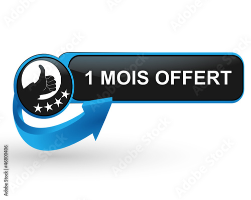 1 mois offert sur bouton web design bleu