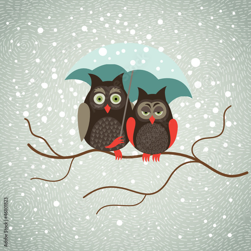 Two cute owls in snowfall