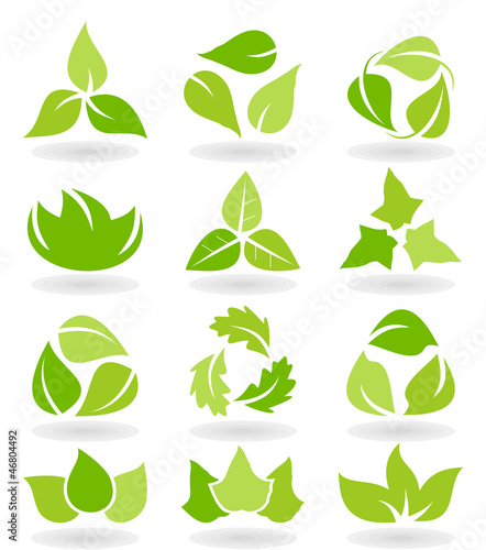 Leaf icon