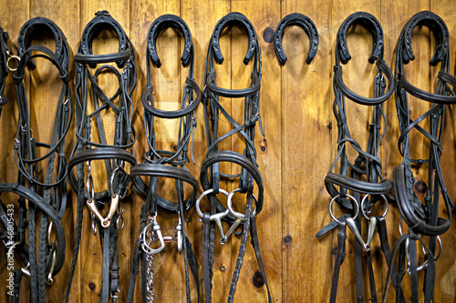 Canvas-taulu Horse bridles hanging in stable