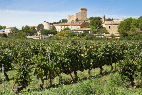 Foto Village de Chateauneuf du Pape dans le vignes