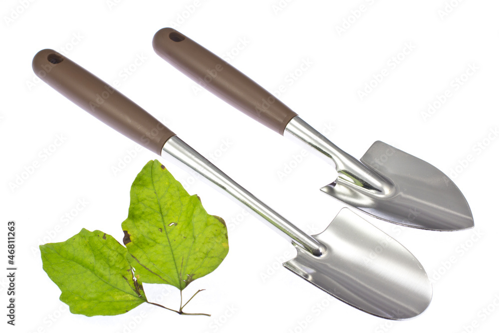 Fototapeta premium Trowel