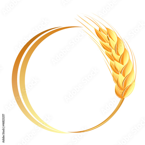 Wheat ears icon