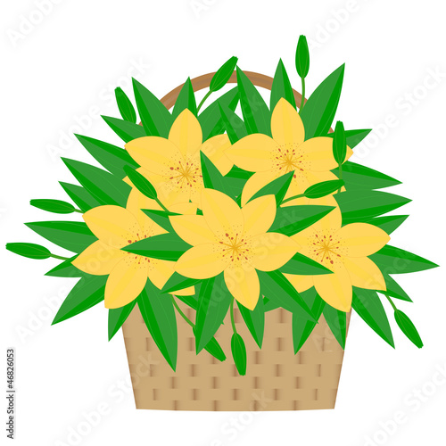 Lilies in a basket