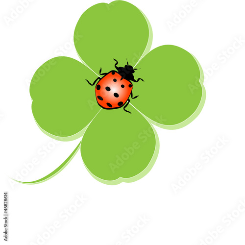 Kleeblatt mit Marienkäfer, Vektor