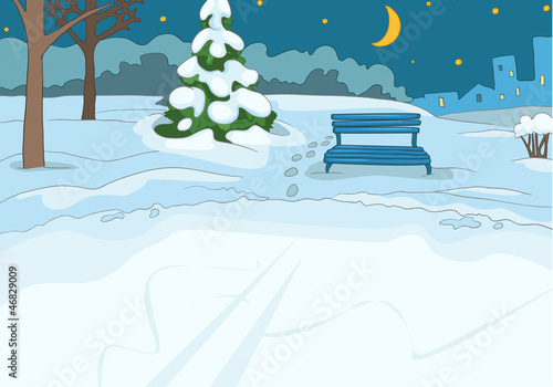 Outdoor Skating Rink