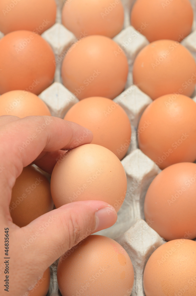 Hand select egg in carton