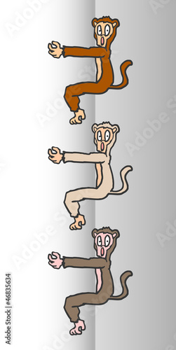 Three monkeys
