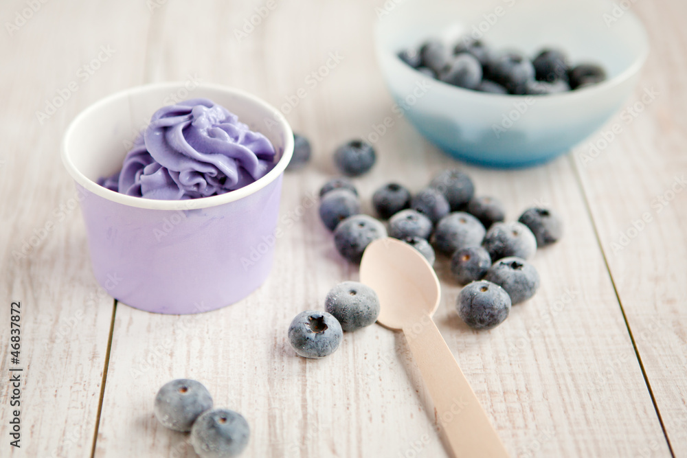 Frozen creamy ice yoghurt with whole blueberries Frozen creamy ice yoghurt with whole blueberries