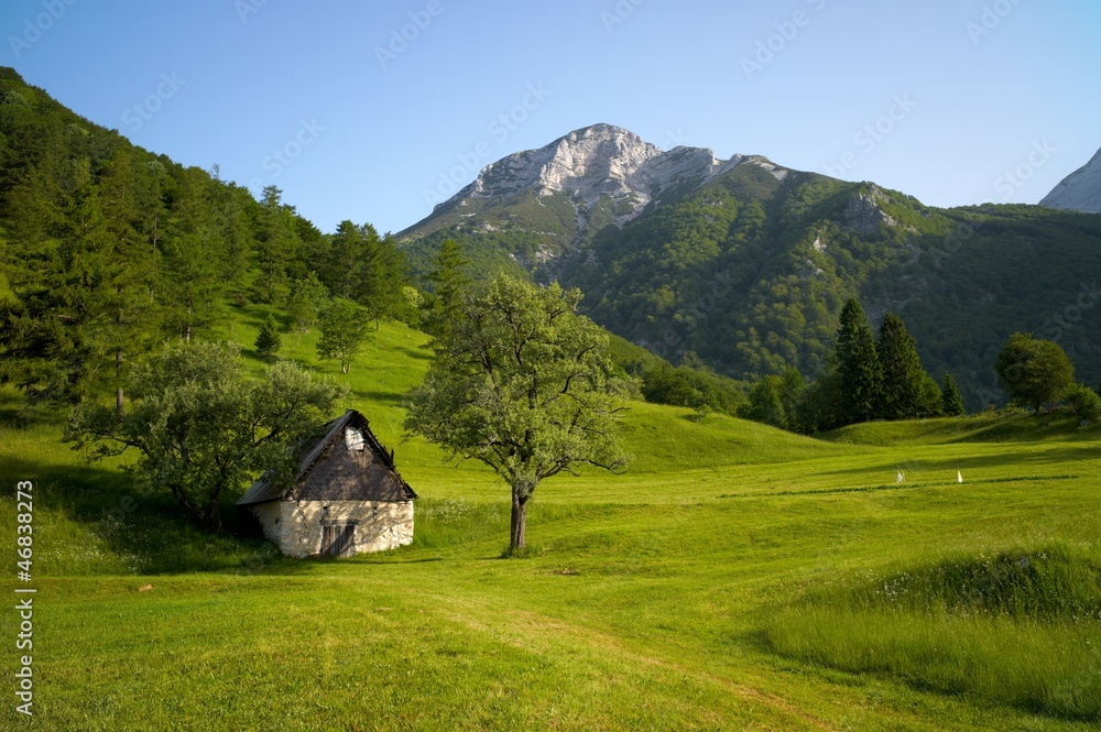 Alpine landscape with green grass