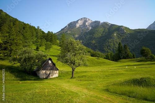 Alpine landscape with green grass
