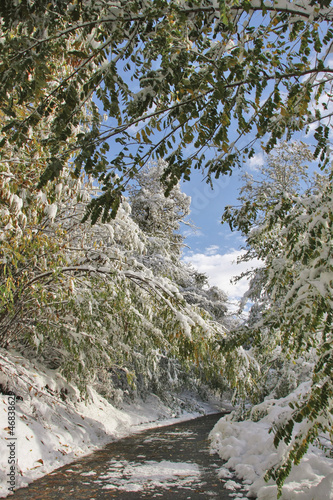 strada innevata photo