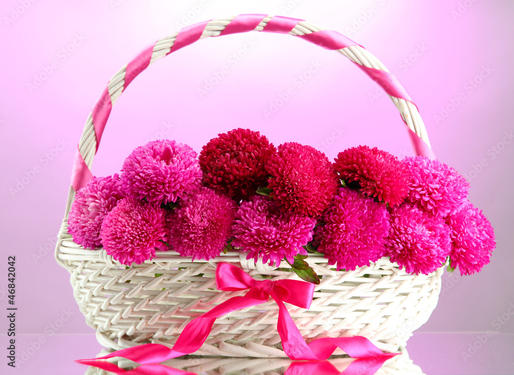 beautiful aster flowers in basket, on pink background beautiful aster flowers in basket, on pink background
